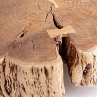 Bizzotto ENEAS TREE Τραπέζι σαλονιού 0745600 90x90x30Y