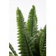 Bizzotto Διακοσμητικό Φυτό FERN σε Γλάστρα Πράσινο  0172400 40x40x45cm