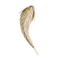 GLOBOSTAR® GOURAMI 02359 Boho Φωτιστικό Τοίχου - Απλίκα με Ντουί 1 x E27 AC 220-240V IP20 - Μπεζ - Μ98 x Π33 x Υ22.5cm
