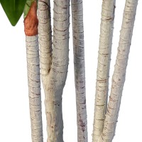 GloboStar® Artificial Garden DRACAENA SILK 20044 - Τεχνητό Διακοσμητικό Φυτό Δράκαινα Υ170cm