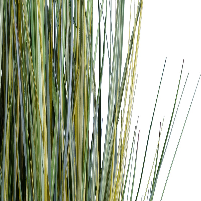 GloboStar® Artificial Garden ERIOPHORUM ANGUSTIFOLIUM COTTON GRASS 20074 Τεχνητό Διακοσμητικό Φυτό Γρασίδι του Βαμβακιού Υ170cm