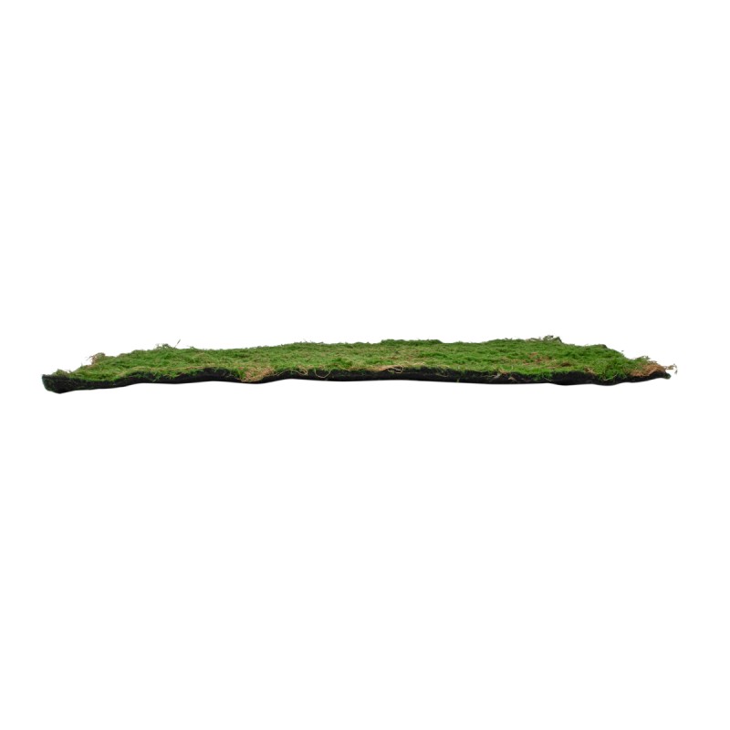 GloboStar® Artificial Garden BRYOPHYTA 20144 Τεχνητό Διακοσμητικό Πάνελ Φυλλωσιάς - Κάθετος Κήπος Βρύα Μ100 x Π100 x Υ3cm