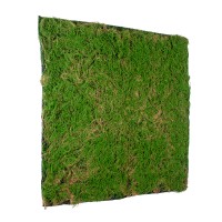 GloboStar® Artificial Garden BRYOPHYTA 20144 Τεχνητό Διακοσμητικό Πάνελ Φυλλωσιάς - Κάθετος Κήπος Βρύα Μ100 x Π100 x Υ3cm