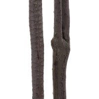 GloboStar® Artificial Garden DRAGON BLOOD TREE 20371 - Τεχνητό Διακοσμητικό Φυτό Δράκαινα Υ220cm