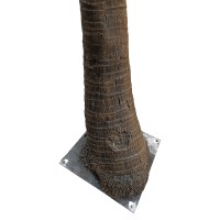 GloboStar® Artificial Garden COCONUT PALM TREE 20595 Τεχνητό Διακοσμητικό Φοινικόδεντρο Κοκοφοίνικας Υ600cm