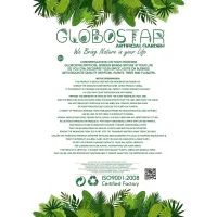 GloboStar® Artificial Garden BEGONIA HANGING PLANT 20639 Τεχνητό Κρεμαστό Διακοσμητικό Φυτό Βιγόνια Π75 x Μ75 x Y80cm