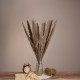 GloboStar® PAMPASGRASS 36511 Αποξηραμένο Φυτό Γρασίδι της Πάμπας - Μπουκέτο Διακοσμητικών Κλαδιών Καφέ - Γκρι Υ80cm