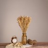 GloboStar® WHEAT 36550 Αποξηραμένο Φυτό Σίτος - Μπουκέτο Διακοσμητικών Κλαδιών Μπεζ Υ60cm - Σετ 100 τμχ