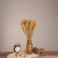 GloboStar® WHEAT 36550 Αποξηραμένο Φυτό Σίτος - Μπουκέτο Διακοσμητικών Κλαδιών Μπεζ Υ60cm - Σετ 100 τμχ