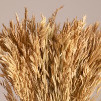 GloboStar® WHEAT 36550 Αποξηραμένο Φυτό Σίτος - Μπουκέτο Διακοσμητικών Κλαδιών Μπεζ Υ60cm - Σετ 100 τμχ