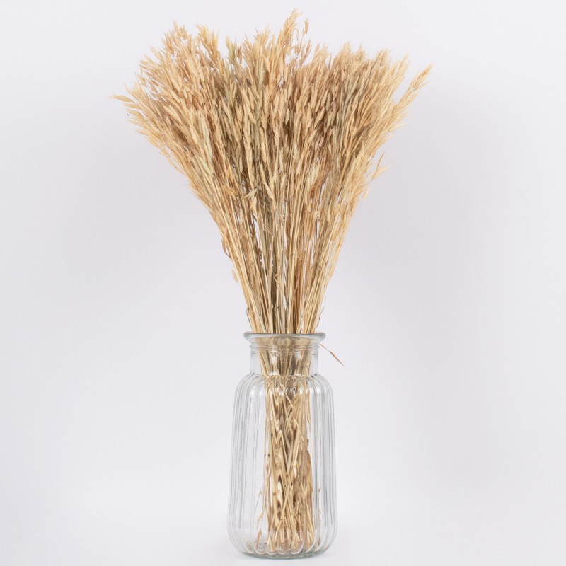 GloboStar® WHEAT 36550 Αποξηραμένο Φυτό Σίτος - Μπουκέτο Διακοσμητικών Κλαδιών Μπεζ Υ60cm - Σετ 100 τμχ
