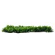 GloboStar® 78425 Artificial - Συνθετικό Τεχνητό Διακοσμητικό Πάνελ Φυλλωσιάς - Κάθετος Κήπος Πεπερομία - Πράσινο Μ60 x Υ40 x Π8cm