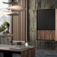 Ντουλάπι SWING S-1 σε καρυδί/μαύρο 102x55x179cm