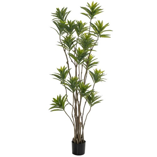 ΦΥΤΟ BAMBOO 180ΕΚ.ΣΕ ΜΑΥΡΗ ΠΛΑΣΤΙΚΗ ΓΛΑΣΤΡΑ (ΔΙΑΜΕΤΡΟΣ 65ΕΚ.) ΠΕΡΙΠΟΥ