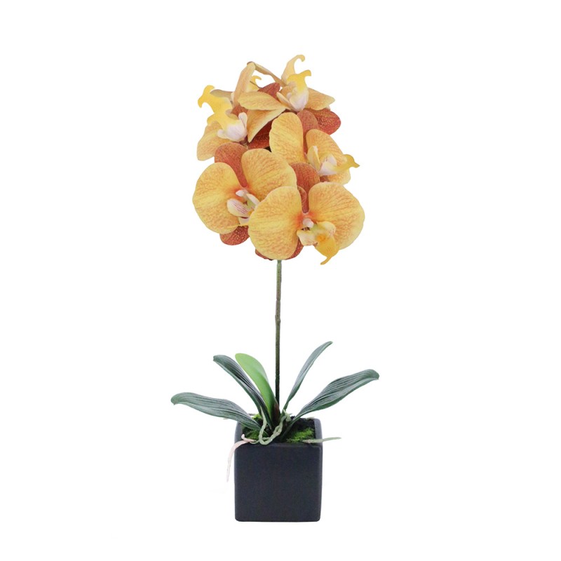 ORCHIDEA ΛΟΥΛΟΥΔΙ ΤΕΧΝΗΤΟ ΣΕ ΓΛΑΣΤΡΑ 63cm PEVA ΚΙΤΡΙΝΟ ΠΟΡΤΟΚΑΛΙ ΚΕΡΑΜΙΚΟ