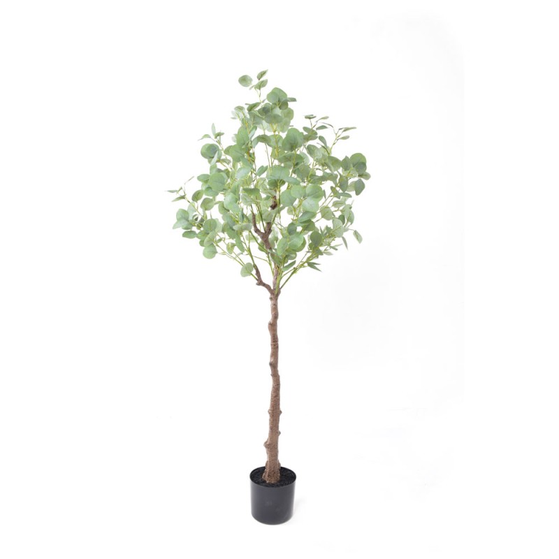 SILVER DOLLAR EUCALYPTUS ΔΕΝΤΡΟ ΤΕΧΝΗΤΟ ΣΕ ΓΛΑΣΤΡΑ 150cm PE ΠΡΑΣΙΝΟ ΜΕΤΑΞΩΤΟ ΥΦΑΣΜΑ