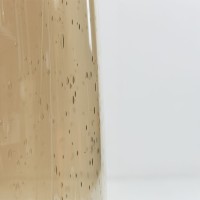 BEXLEY ΦΩΤΙΣΤΙΚΟ ΕΠΙΤΡΑΠΕΖΙΟ 43x43x79cm ΓΥΑΛΙ ΜΕΛΙ ΧΡΥΣΟ ΛΙΝΟ ΜΠΕΖ