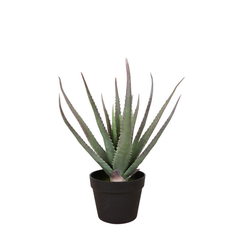 ALOE ΦΥΤΟ ΤΕΧΝΗΤΟ ΣΕ ΓΛΑΣΤΡΑ 52cm PVC ΠΡΑΣΙΝΟ ΜΑΥΡΟ ΤΣΙΜΕΝΤΟ
