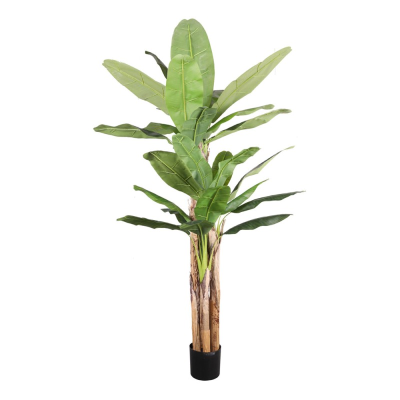 BANANA ΔΕΝΤΡΟ ΤΕΧΝΗΤΟ ΣΕ ΓΛΑΣΤΡΑ 240cm PVC ΠΡΑΣΙΝΟ ΜΑΥΡΟ ΤΣΙΜΕΝΤΟ