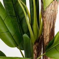 BANANA ΔΕΝΤΡΟ ΤΕΧΝΗΤΟ ΣΕ ΓΛΑΣΤΡΑ 200cm PVC ΠΡΑΣΙΝΟ ΜΑΥΡΟ ΤΣΙΜΕΝΤΟ