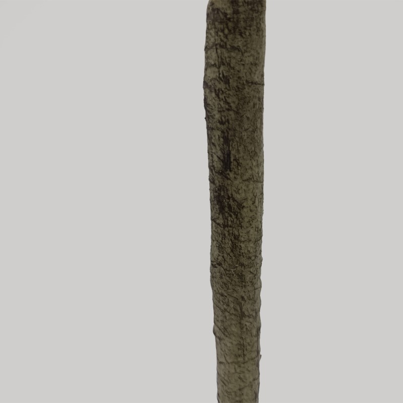 OLIVE TREE ΔΕΝΤΡΟ ΤΕΧΝΗΤΟ ΣΕ ΓΛΑΣΤΡΑ 180cm ΥΦΑΣΜΑ ΠΡΑΣΙΝΟ PVC