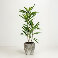 GASHER ΓΛΑΣΤΡΑ ΣΕΤ 3ΤΜΧ 42x42x35cm ΚΕΡΑΜΙΚΟ ΑΝΘΡΑΚΙ ΜΠΕΖ