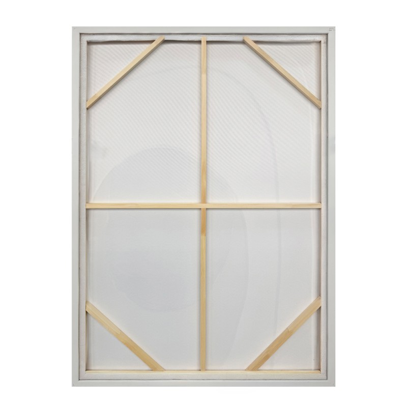 VOID A ΠΙΝΑΚΑΣ ΔΙΑΚΟΣΜΗΤΙΚΟΣ ΜΕ ΚΟΡΝΙΖΑ 80x120x4cm ΚΑΜΒΑΣ ΜΠΕΖ ΛΑΔΙ PS