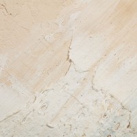 BLACK SEA ΠΙΝΑΚΑΣ ΔΙΑΚΟΣΜΗΤΙΚΟΣ ΜΕ ΚΟΡΝΙΖΑ 80x80x4cm ΚΑΜΒΑΣ BEIGE ΜΑΥΡΟ ΞΥΛΟ ΦΥΣΙΚΟ