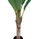 Palm Διακοσμητικό Φυτό Μπανανιάς 105x80x163cm