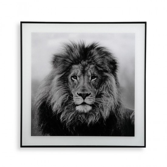 Κάδρο Λιοντάρι  με Κορνίζα και Γυαλί 50x2x50 cm