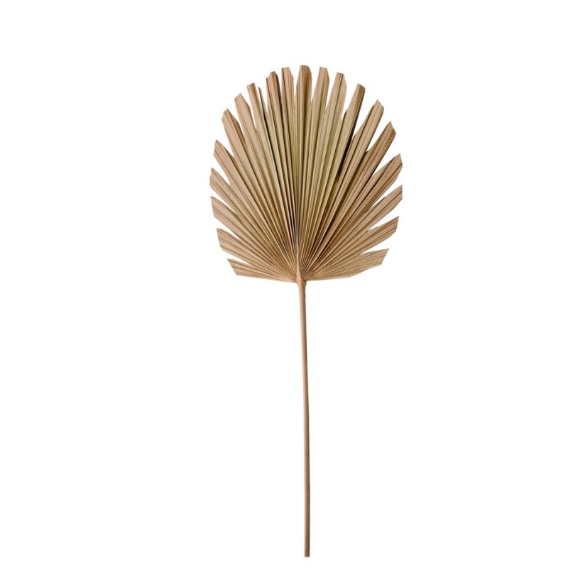 Διακοσμητικό Φυσικό Φύλλο PLANTAE natural 44x103cm