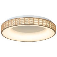 ΟΡΟΦΗΣ ΦΩΤΙΣΤΙΚΟ LED-ΠΛΑΦΟΝΙΕΡΑ-ΚΩΔ. FORTE-60-Y