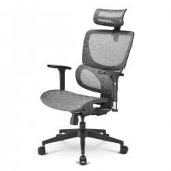 Καρέκλα Γραφείου Sharkoon Officepal C30M Μαύρο Γκρι