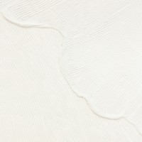Πίνακας σε καμβά Brendo Ι pakoworld mdf 116x3.8x75εκ