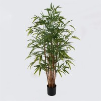 Διακοσμητικό φυτό σε γλάστρα Rhapis Palm Inart πράσινο Φ80x180εκ