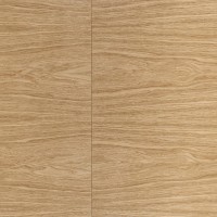 Τραπέζι προέκτασης ELEFANTE RECTANGLE, φυσική δρυς 160-240x100x77Y 2010001194248
